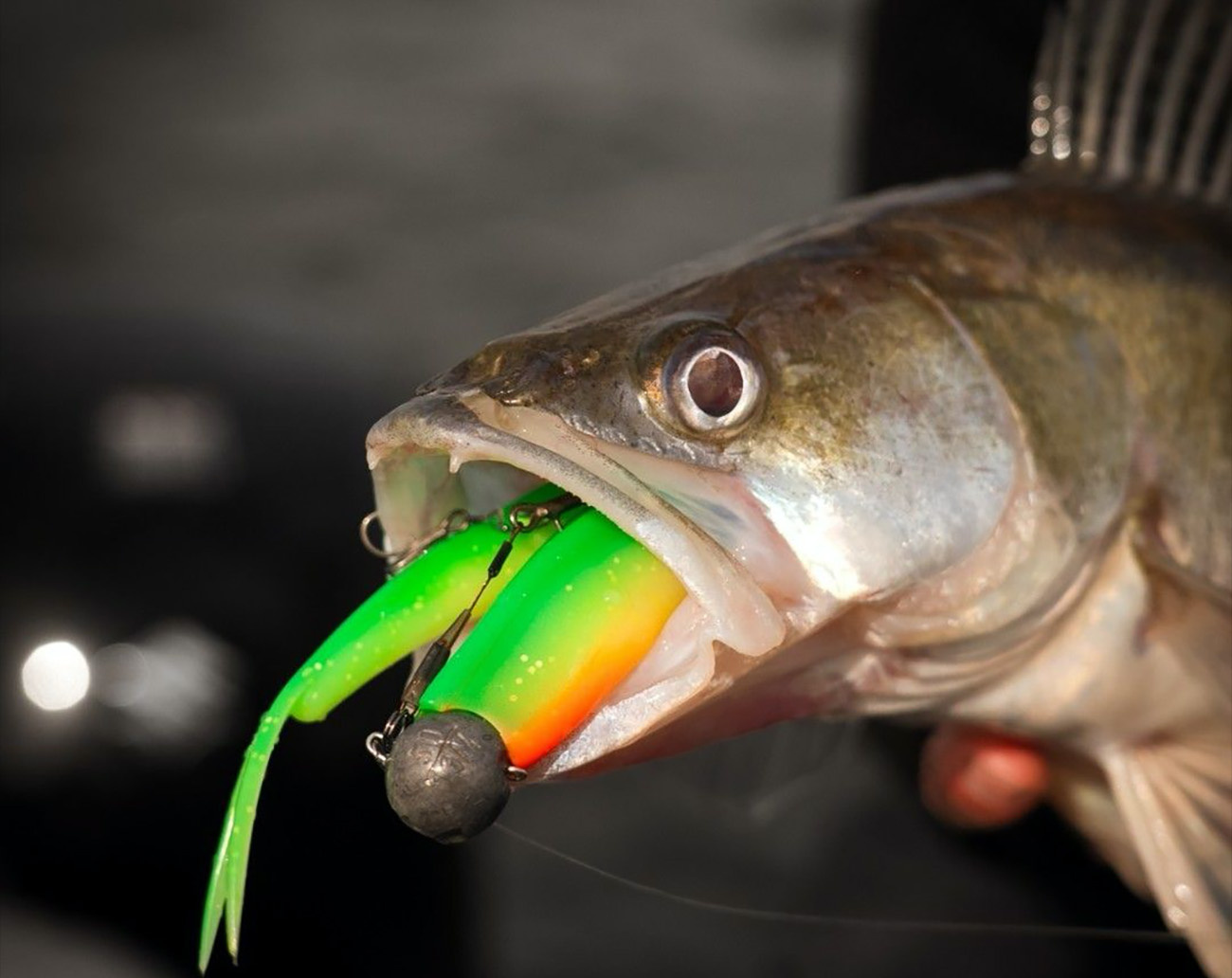 Westin Twinteez V-Tail 24cm